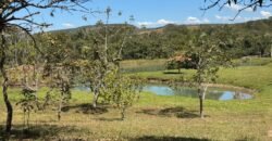 Sítio 15ha – Rio – Açude de Peixe – São João da Aliança – Chapada dos Veadeiros