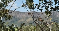 Vende-se Maravilhoso Lote 3.854m2 –  Exclusivo em São Jorge!