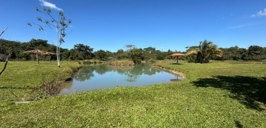 Sítio 15ha – Rio – Açude de Peixe – São João da Aliança – Chapada dos Veadeiros