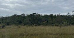 Chácara 40.000m – 5 km de Alto Paraíso – 100% regularizada