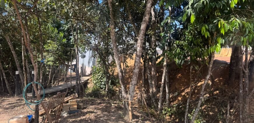 🚜🌳 Maravilhoso Sítio 20ha 🌳🚜 12 km de Alto Paraíso sentido São João da Aliança