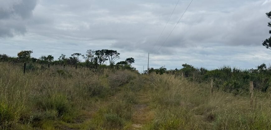 Chácara 40.000m – 5 km de Alto Paraíso – 100% regularizada