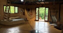 Vende-se Casa Moderna com Arquitetura Inspirada na Flor da Vida – Povoado do Moinho, Chapada Dos Veadeiros