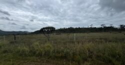 Chácara 40.000m – 5 km de Alto Paraíso – 100% regularizada