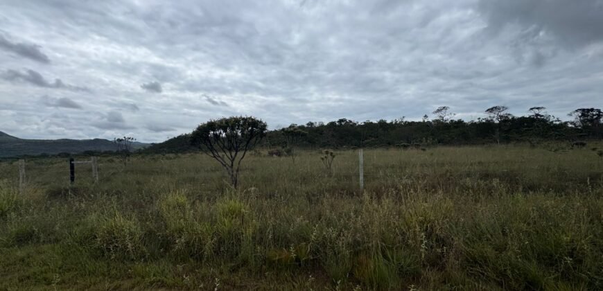 Chácara 40.000m – 5 km de Alto Paraíso – 100% regularizada