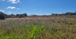 Sítio 15ha – Rio – Açude de Peixe – São João da Aliança – Chapada dos Veadeiros