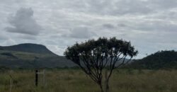 Chácara 40.000m – 5 km de Alto Paraíso – 100% regularizada