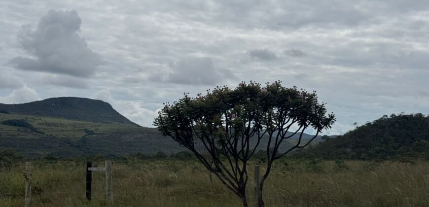 Chácara 40.000m – 5 km de Alto Paraíso – 100% regularizada