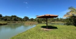Sítio 15ha – Rio – Açude de Peixe – São João da Aliança – Chapada dos Veadeiros