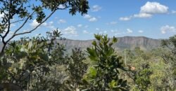 Vende-se Maravilhoso Lote 3.854m2 –  Exclusivo em São Jorge!