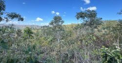 Vende-se Maravilhoso Lote 3.854m2 –  Exclusivo em São Jorge!