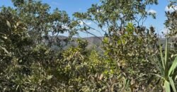 Vende-se Maravilhoso Lote 3.854m2 –  Exclusivo em São Jorge!
