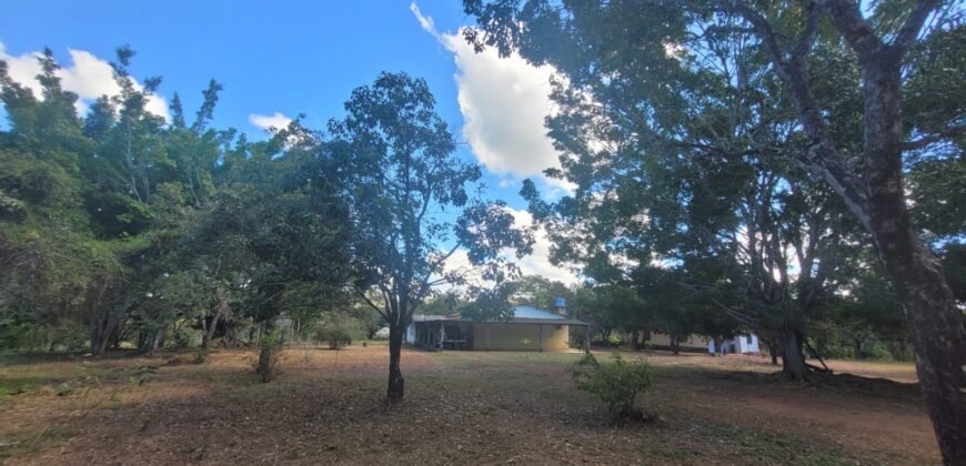 Sítio 15ha – Rio – Açude de Peixe – São João da Aliança – Chapada dos Veadeiros