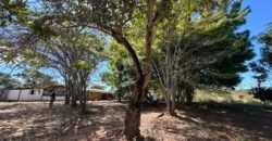 Sítio 15ha – Rio – Açude de Peixe – São João da Aliança – Chapada dos Veadeiros
