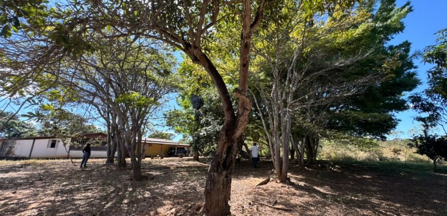 Sítio 15ha – Rio – Açude de Peixe – São João da Aliança – Chapada dos Veadeiros
