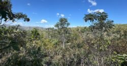 Vende-se Maravilhoso Lote 3.854m2 –  Exclusivo em São Jorge!