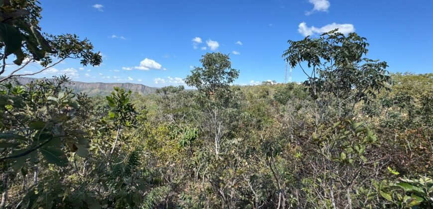Vende-se Maravilhoso Lote 3.854m2 –  Exclusivo em São Jorge!