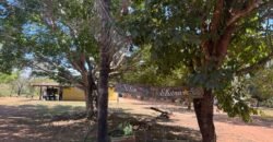 Sítio 15ha – Rio – Açude de Peixe – São João da Aliança – Chapada dos Veadeiros