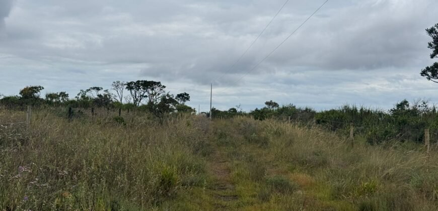 Chácara 40.000m – 5 km de Alto Paraíso – 100% regularizada