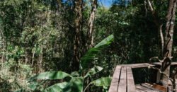 Propriedade – 2 Casas – Rio da Lua – 2 km de São Jorge