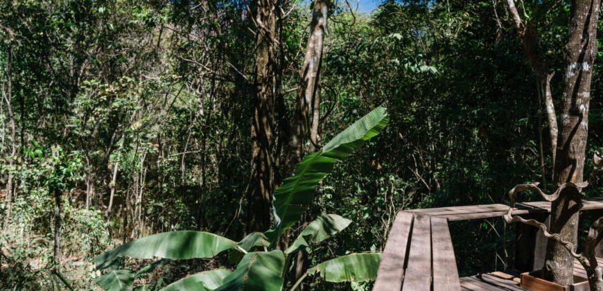 Propriedade – 2 Casas – Rio da Lua – 2 km de São Jorge