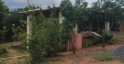 Lote 2.000m2 – Condomínio Ecovila Ashiyana – Loquinhas – Alto Paraíso de Goiás