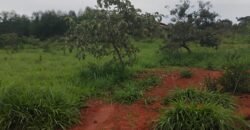 Lote 2.000m2 – Condomínio Ecovila Ashiyana – Loquinhas – Alto Paraíso de Goiás