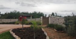 Lote 2.000m2 – Condomínio Ecovila Ashiyana – Loquinhas – Alto Paraíso de Goiás