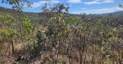 Lote 2000m2 – São Jorge – Regularizado