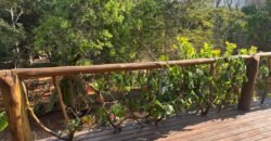 Linda Casa – Povoado do Moinho – Próximo Cachoeira Anjos e Arcanjos – Chapada dos Veadeiros