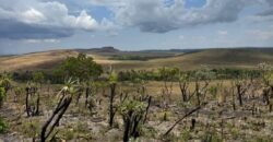 Chácara 5 Alqueires – Km 12 – Lindo Visual – Entre Alto Paraíso e São Jorge