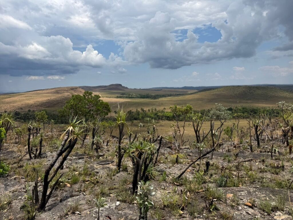 Chácara 5 Alqueires – Km 12 – Lindo Visual – Entre Alto Paraíso e São Jorge