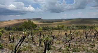 Chácara 5 Alqueires – Km 12 – Lindo Visual – Entre Alto Paraíso e São Jorge