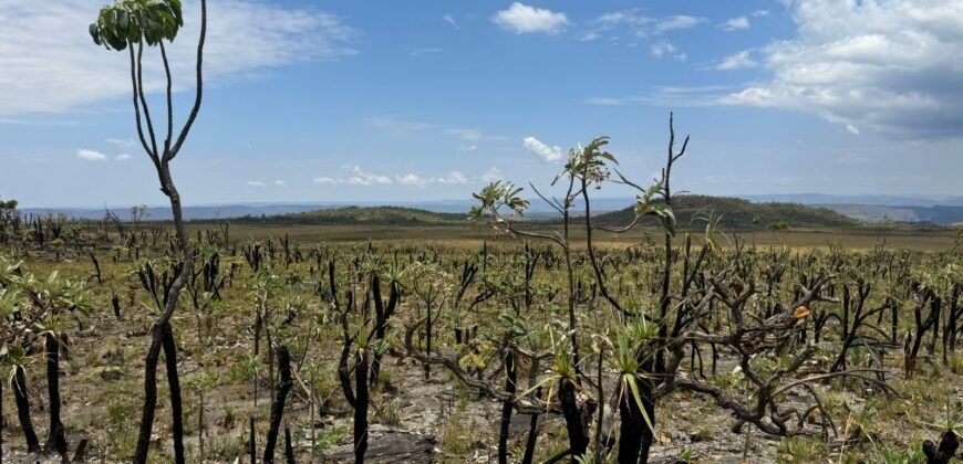 Chácara 5 Alqueires – Km 12 – Lindo Visual – Entre Alto Paraíso e São Jorge