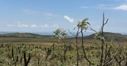 Chácara 5 Alqueires – Km 12 – Lindo Visual – Entre Alto Paraíso e São Jorge