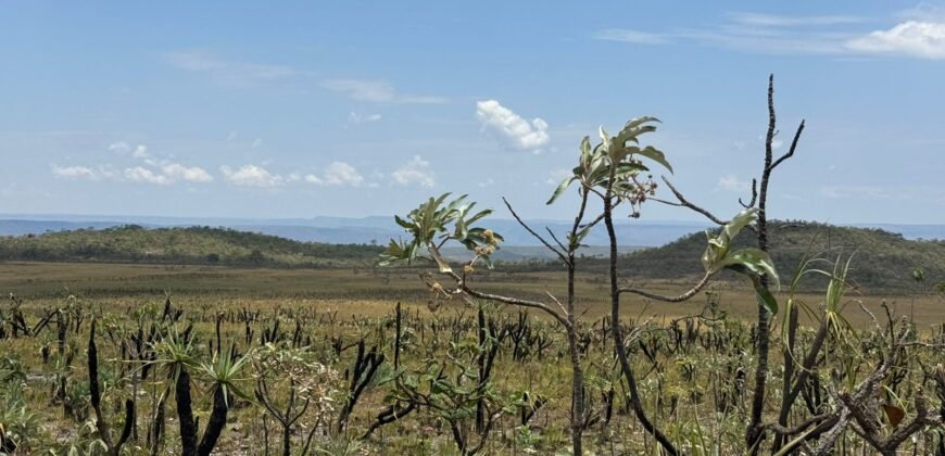 Chácara 5 Alqueires – Km 12 – Lindo Visual – Entre Alto Paraíso e São Jorge
