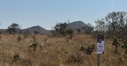 Cháraca 6ha – Córrego – Vista Morro da Baleia – Chapada dos Veadeiros