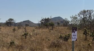 Cháraca 6ha – Córrego – Vista Morro da Baleia – Chapada dos Veadeiros