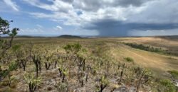 Chácara 5 Alqueires – Km 12 – Lindo Visual – Entre Alto Paraíso e São Jorge