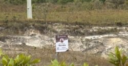 Cháraca 6ha – Córrego – Vista Morro da Baleia – Chapada dos Veadeiros