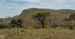 Chácara 5 Alqueires – Km 12 – Lindo Visual – Entre Alto Paraíso e São Jorge