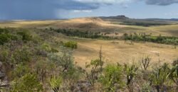 Chácara 5 Alqueires – Km 12 – Lindo Visual – Entre Alto Paraíso e São Jorge