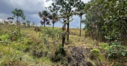 Chácara 5 Alqueires – Km 12 – Lindo Visual – Entre Alto Paraíso e São Jorge