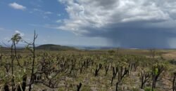 Chácara 5 Alqueires – Km 12 – Lindo Visual – Entre Alto Paraíso e São Jorge