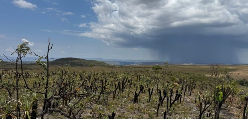 Chácara 5 Alqueires – Km 12 – Lindo Visual – Entre Alto Paraíso e São Jorge