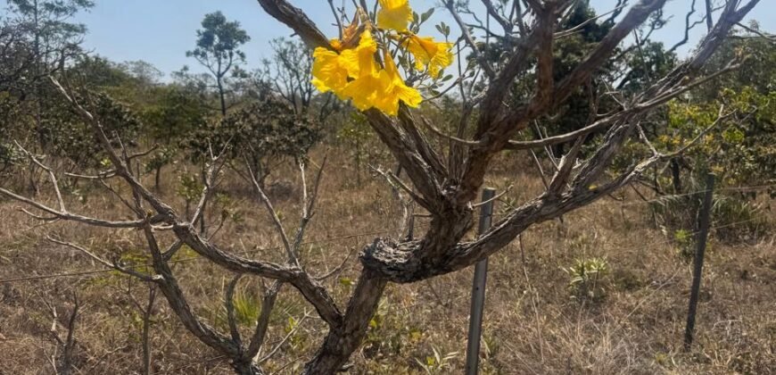 Cháraca 6ha – Córrego – Vista Morro da Baleia – Chapada dos Veadeiros