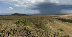 Chácara 5 Alqueires – Km 12 – Lindo Visual – Entre Alto Paraíso e São Jorge