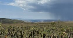 Chácara 5 Alqueires – Km 12 – Lindo Visual – Entre Alto Paraíso e São Jorge