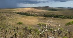 Chácara 5 Alqueires – Km 12 – Lindo Visual – Entre Alto Paraíso e São Jorge