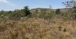 Cháraca 6ha – Córrego – Vista Morro da Baleia – Chapada dos Veadeiros